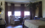 Window Treatments